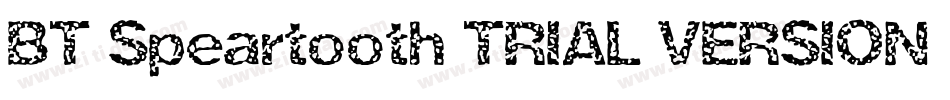 BT Speartooth TRIAL VERSION字体转换